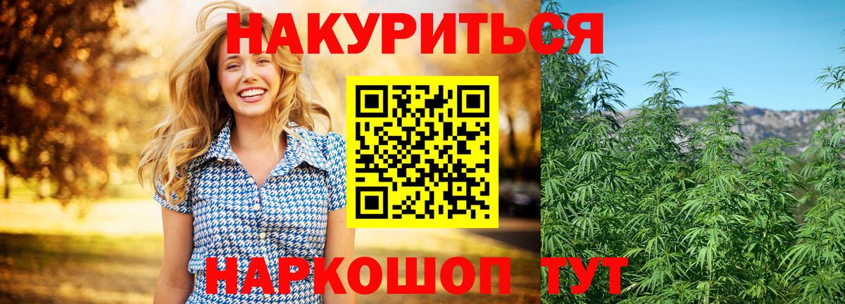 Бошки Шишки семена  Вход с VPN  Конопля OG Kush  Калининград  Бошки Шишки VHQ 